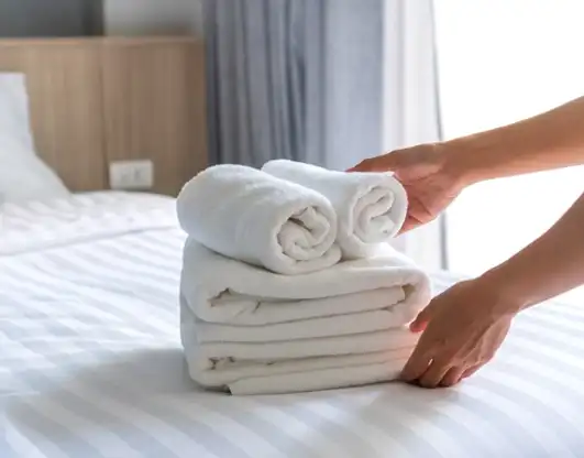 SERVICIO DE HOTELERÍA